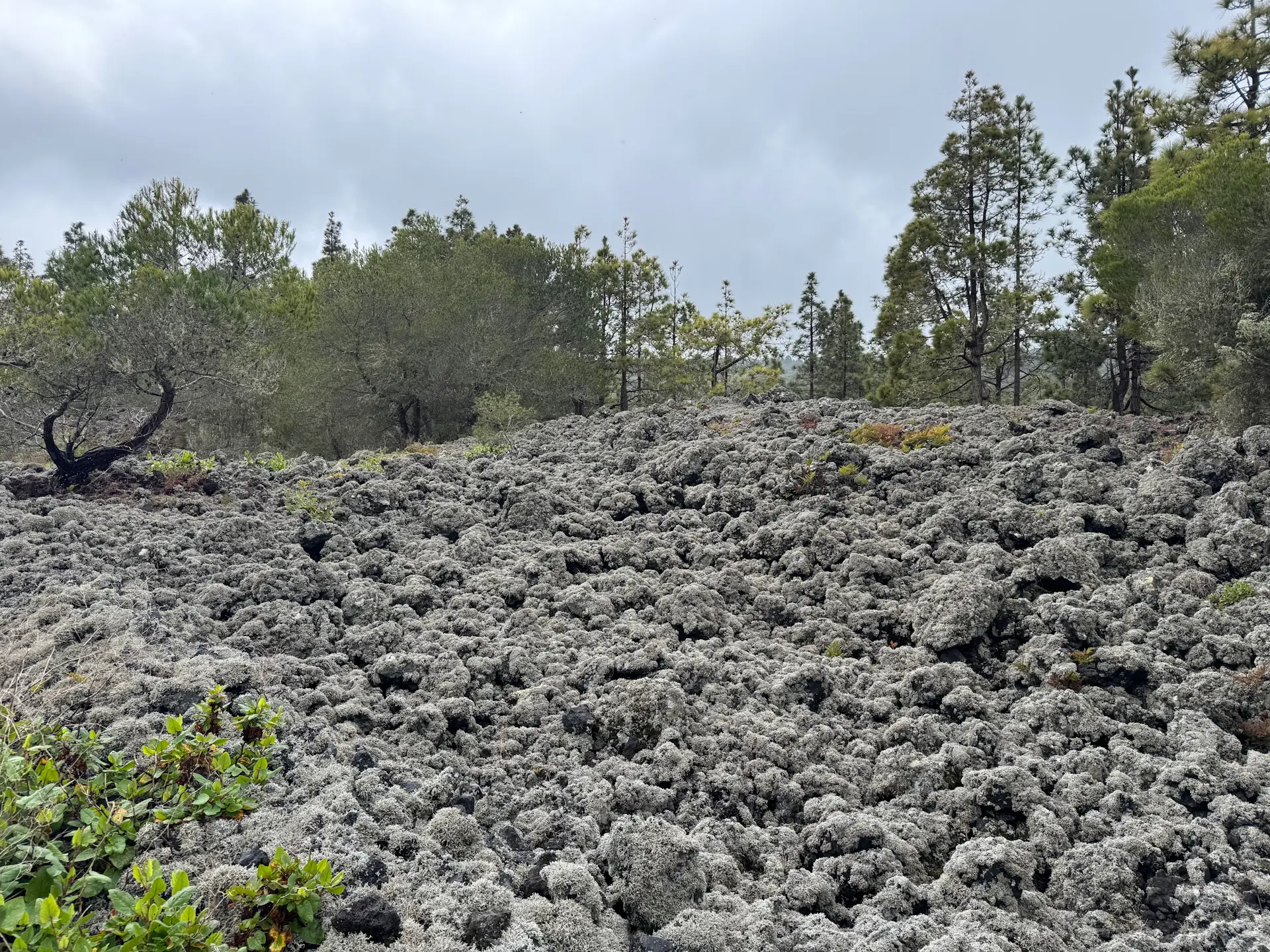 Ruigómez - El Tanque - Ruigómez