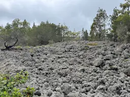 Ruigómez - El Tanque - Ruigómez