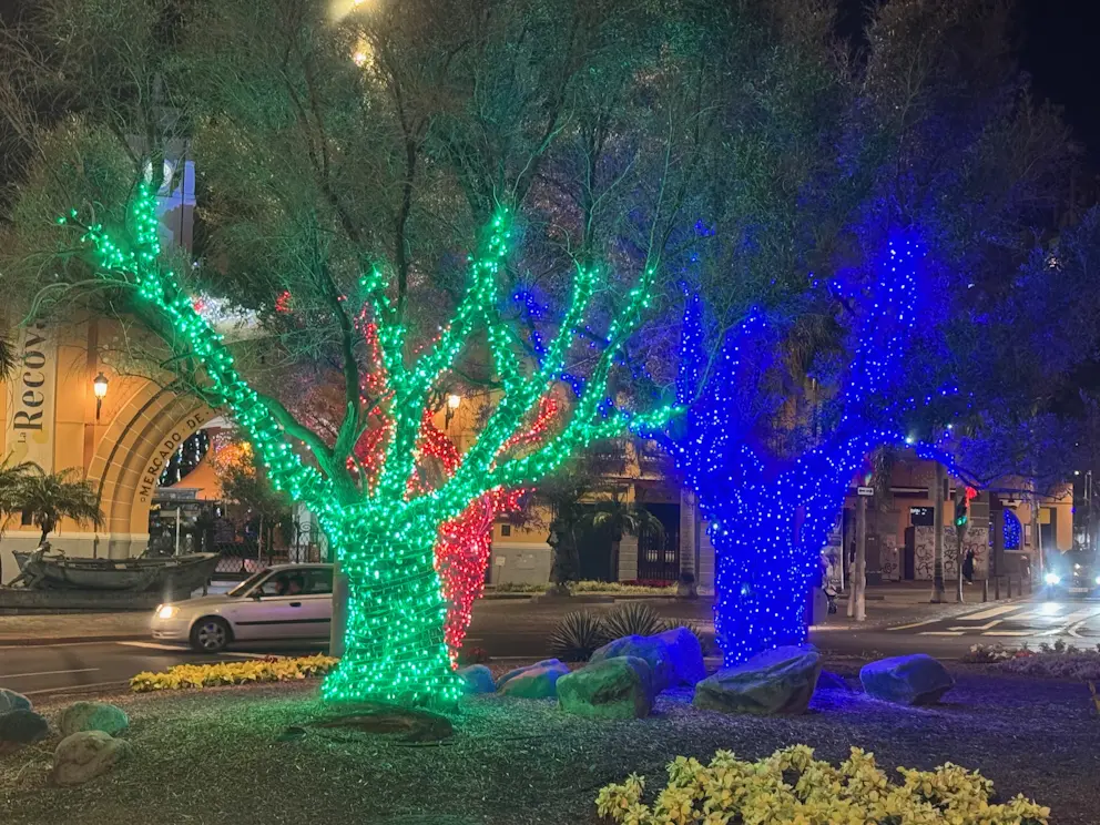 Mercado Nuestra Señora de África